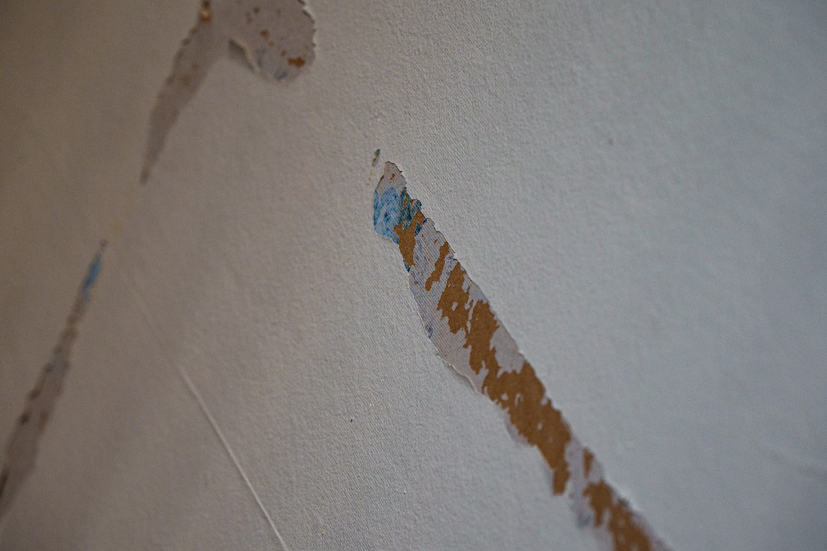 Flood Cleanup service in Naperville, IL